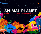 ANIMAL PLANET